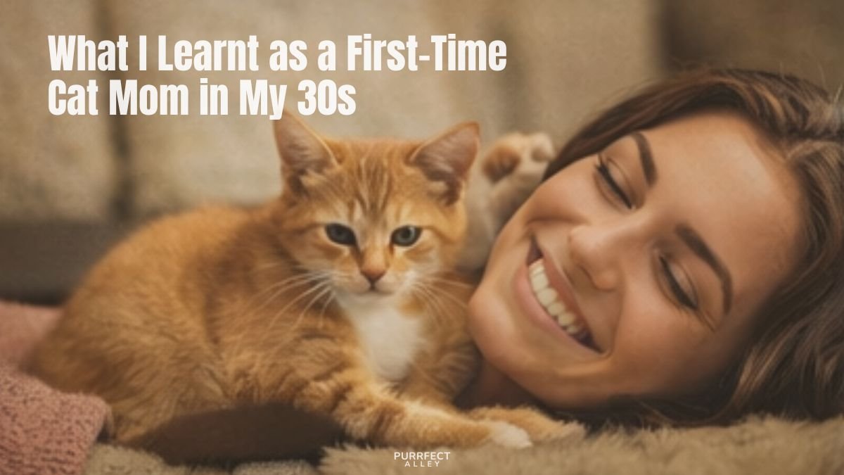 What I Learnt as a First-Time Cat Mom in My 30s